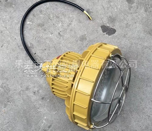 220wled防爆燈 固態免維護防爆led燈 廠家圖片